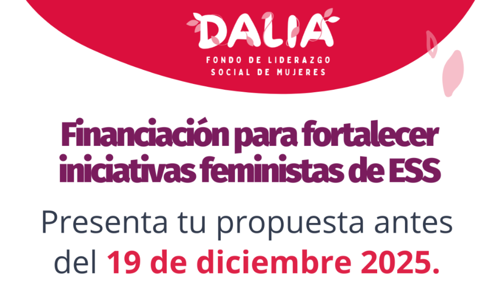 Convocatoria Abierta DALIA
